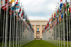 В ООН прокомментировали гибель людей в приграничных регионах России